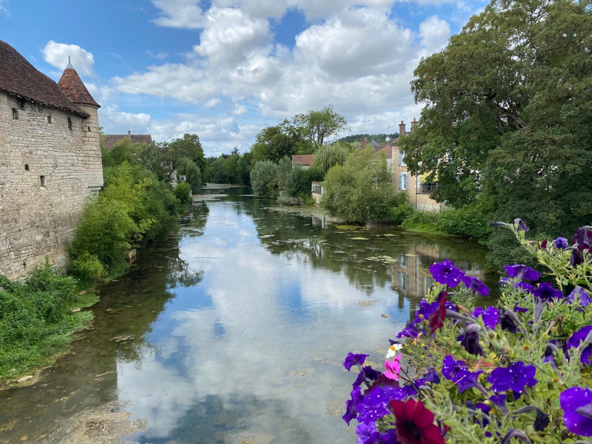 Le Merrain Gite Plein Coeur De Chablis Esterno foto