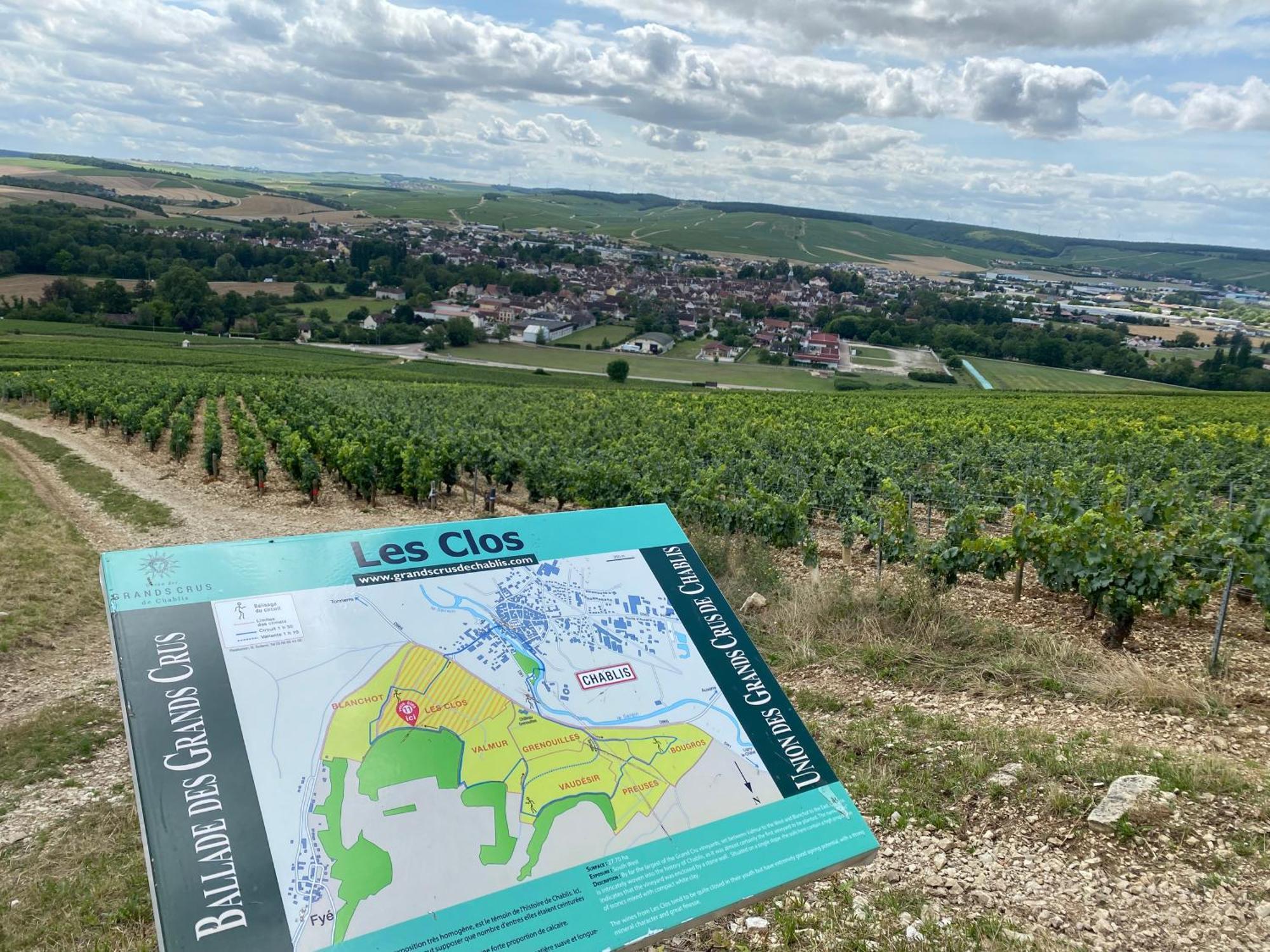 Le Merrain Gite Plein Coeur De Chablis Esterno foto